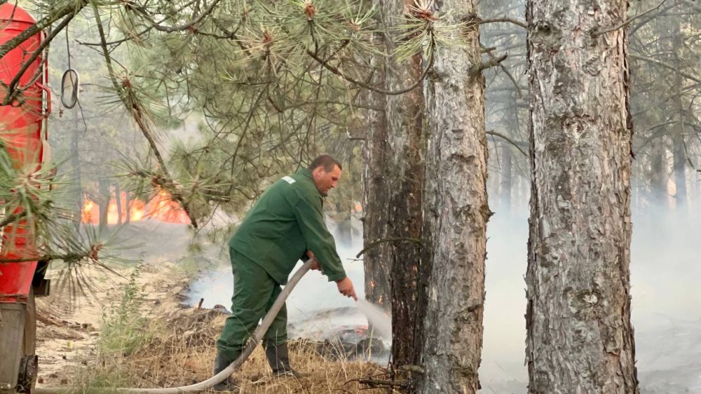 ����� ����� ��� � ��������������� ������ ������� �����