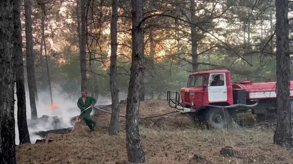 ����� ��������� ��� � ��������������� ������ ��������� ���. � �������, 6 ����, ��� ������� �������� �� ������� ������� � ��������������� ������, ��� ������� � ����������� ������