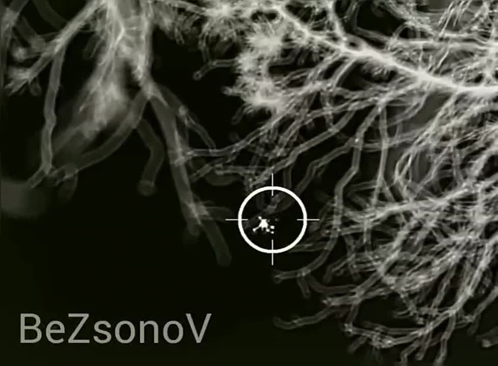 Даниил Безсонов: #эксклюзив. Наши бойцы на Херсонском направлении сбили крупный украинский квадрокоптер DJI Matrice 300...