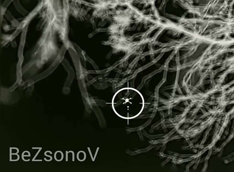 Даниил Безсонов: #эксклюзив. Наши бойцы на Херсонском направлении сбили крупный украинский квадрокоптер DJI Matrice 300. РЭБы заглушить не смогли, управлялся через спутниковую связь "Старлинк", пришлось сбивать дедовским методом