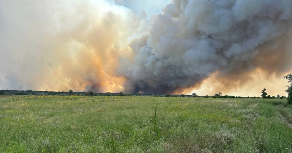 ������� ������ ����� ��������� � ��������������� ������ ����� ��������� ���