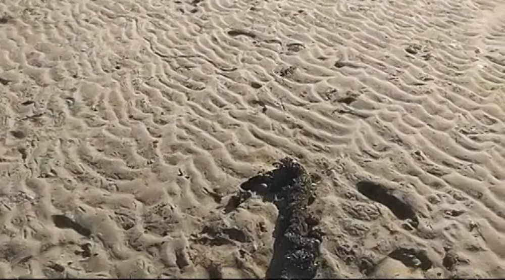 ��������� ������������� �������