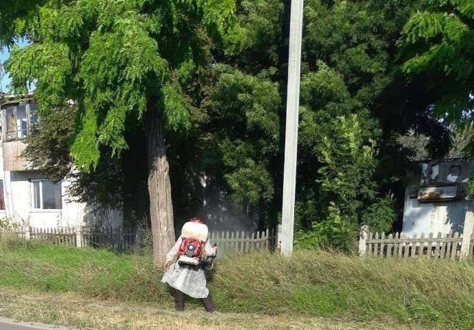 � ���������� ������ �������� ��������� ���������� �� ���������