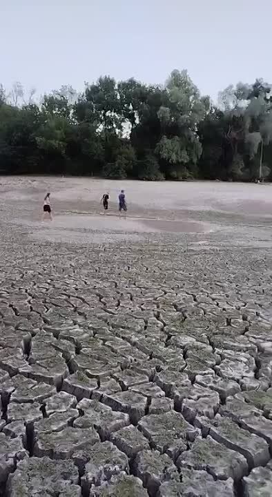 ��� ������ �������� ���������� ��������� �������������.