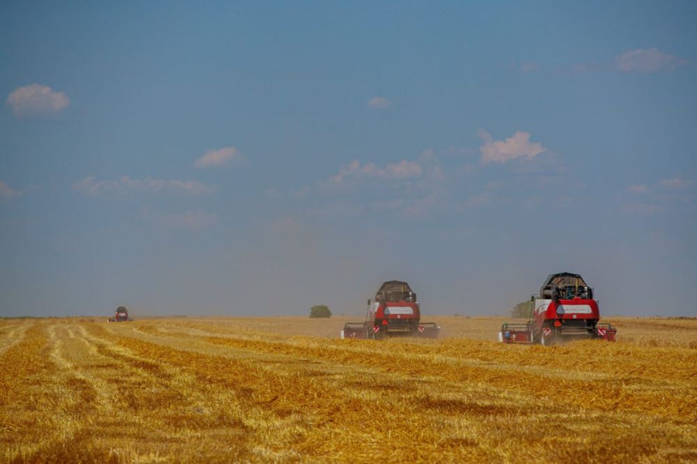 �������������� ������ �������� ������� ����� ��������