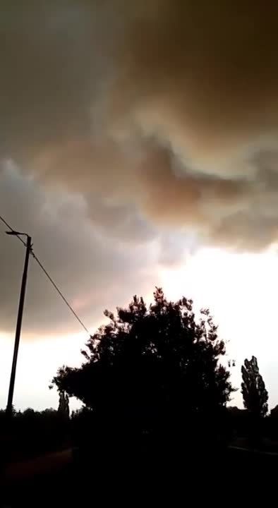 � ���������� ������ ����� ���