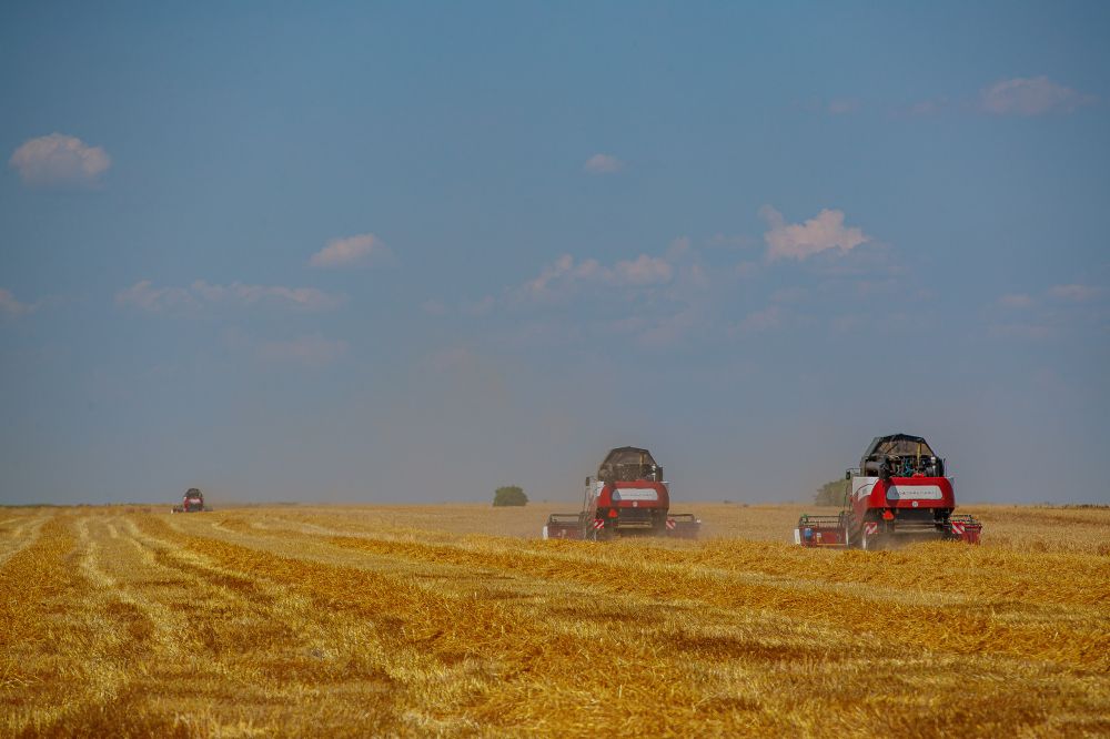 ������� ����� �������� �������� �������������� ������