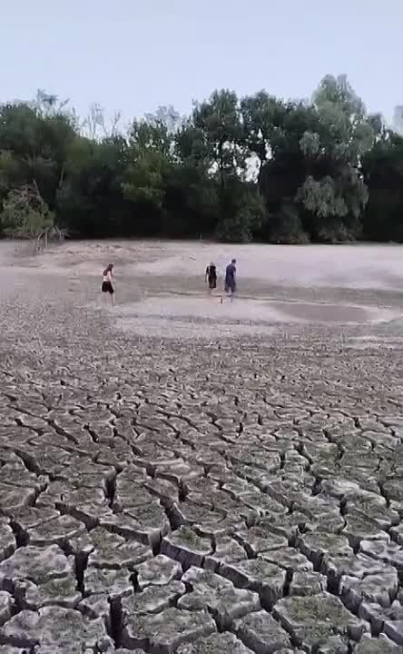 ��������� �������������