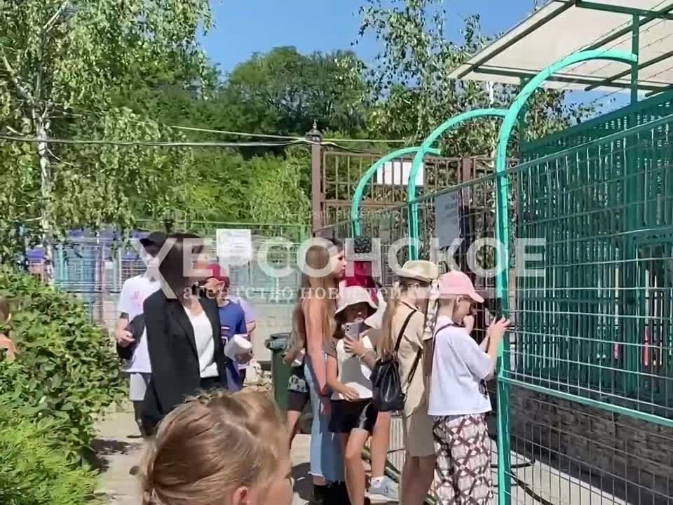 ���������� �������. ������ �� ���������� ������� �������� ������� � ���������-�������� ��������� ������������ ������� ������� �� �� ���������-�������� �������� ������