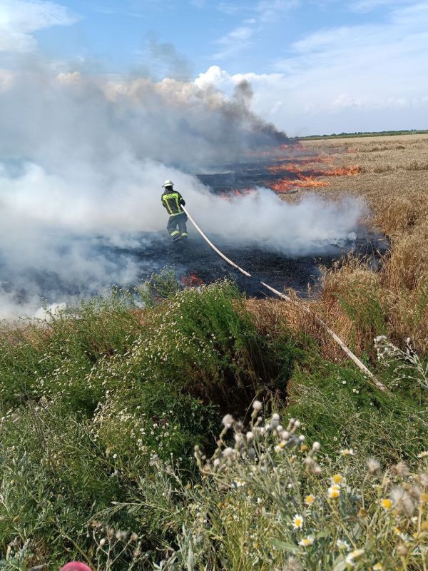 �� �������� ����� �������� 17 �������, �������� ���, ��������� 1 �������