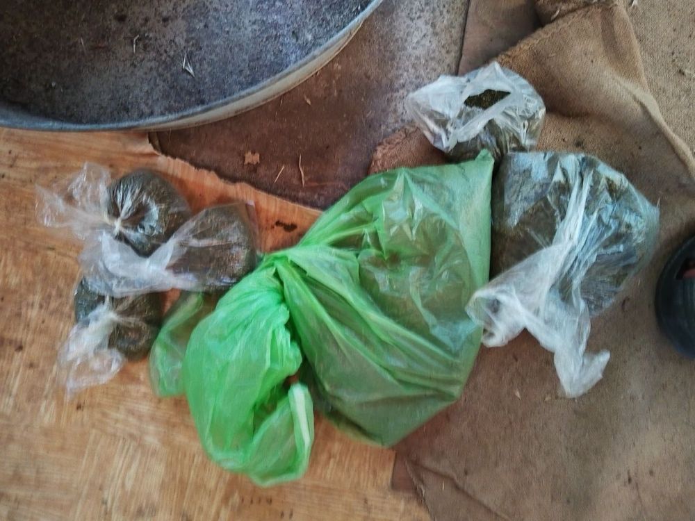 � ���������� ������� ��������������� ������ � ������ ���� ������������ 13 �� ���������