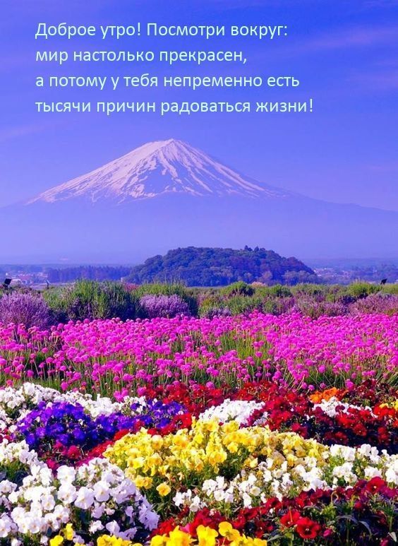 ������ ����. ������� � ������� �������� ������ ����������� ���� ����. ����� ��������� ������ �����. � ���� �� ���������� � ������ ������� �� �����������. ����������� �� +18 ����� �� +26 ����