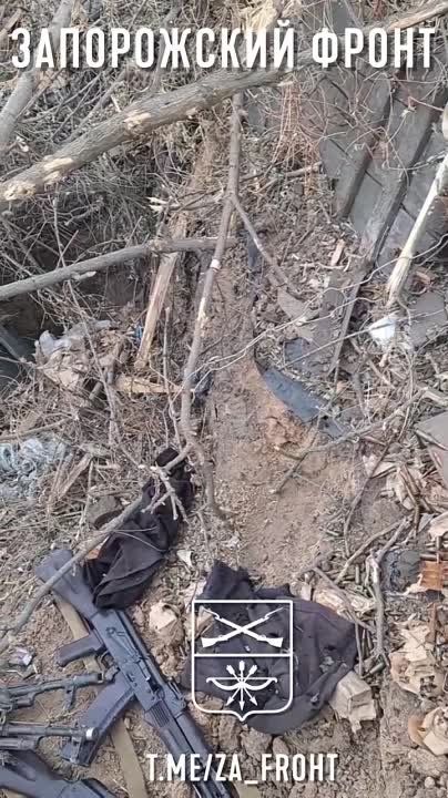 �����. ���������� 291 ����� �������� ����� � ������� ��� �� ����������� ����������� �� ���������� �����: