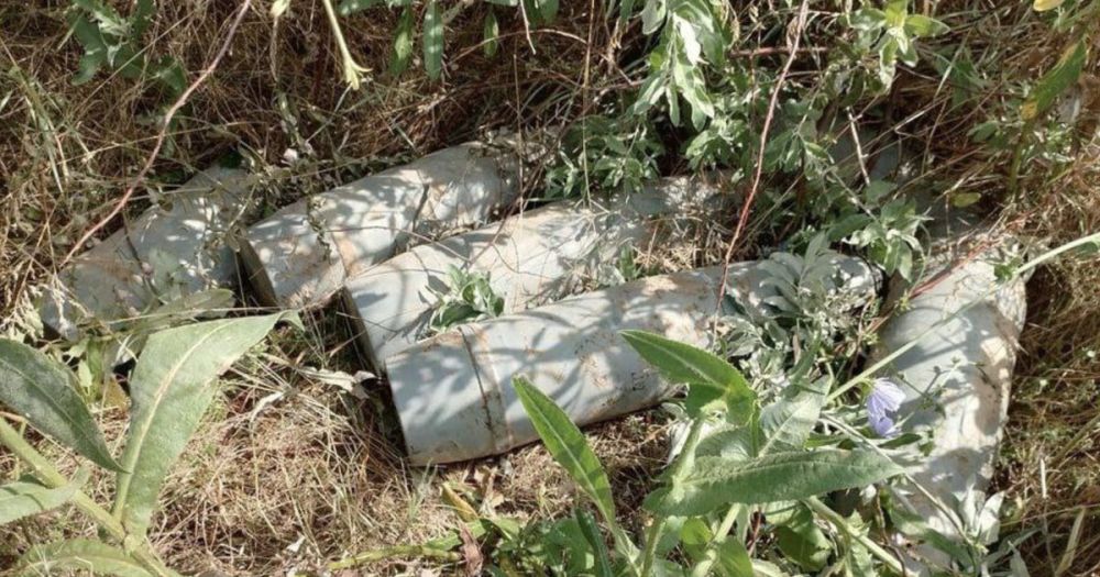 ����������� ������� ������ ����������� � ������������ ������