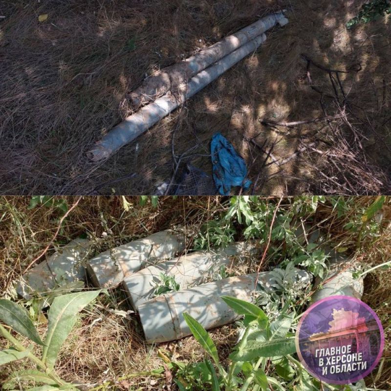 � ������������ ������ ��������� ����� � ������������ ���. � �������� ���������� �� ��������� � ���������� ��������������� ���������� ������ � ������ ���������-��������� ��������� ������� 152 �� � ��� ������� ��� ���� ������� 122 ��