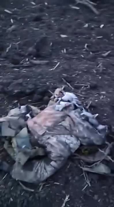 ����������� �� ����� �������� �