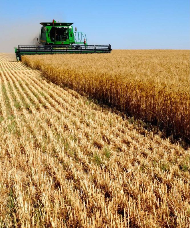 ����� �������� ������ �� ��������������� ������������� ����� 4,5 ���� ������