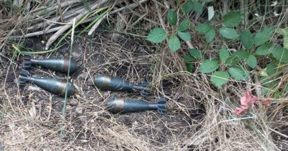 ����������� ���������� ������ ���������� ���� � ��������������� ������