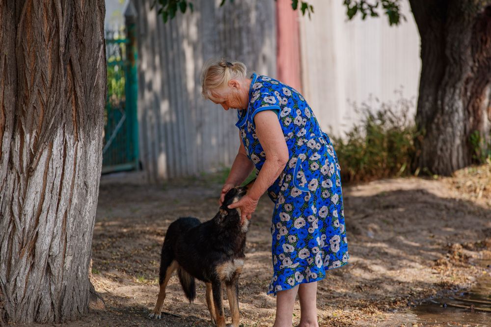 � ��������� �������� ���������� �������� �������� �� ���������