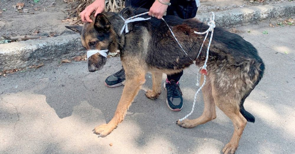 ���������� ���������� ����� � ����� �� ��������� �������� � ���������