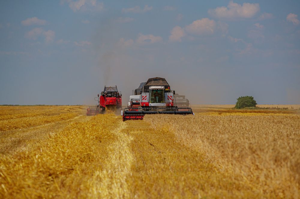 � ���� ����������� ���������� ��������� ��������