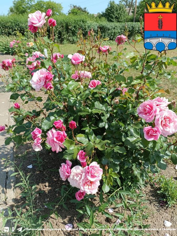 ���� � ��������� ������. ������ ����: �������� ������ ������ ���������� ������ ������������, �� ������� ����������� ������� ������ �������