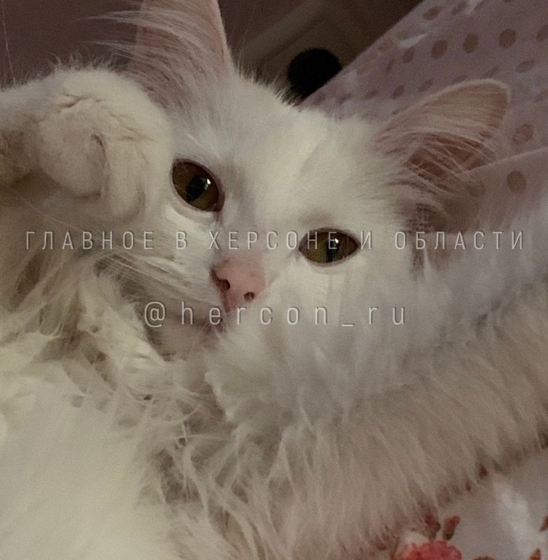 � ��������� ���������� ���������� ���������� ����� � ����� �� ���������