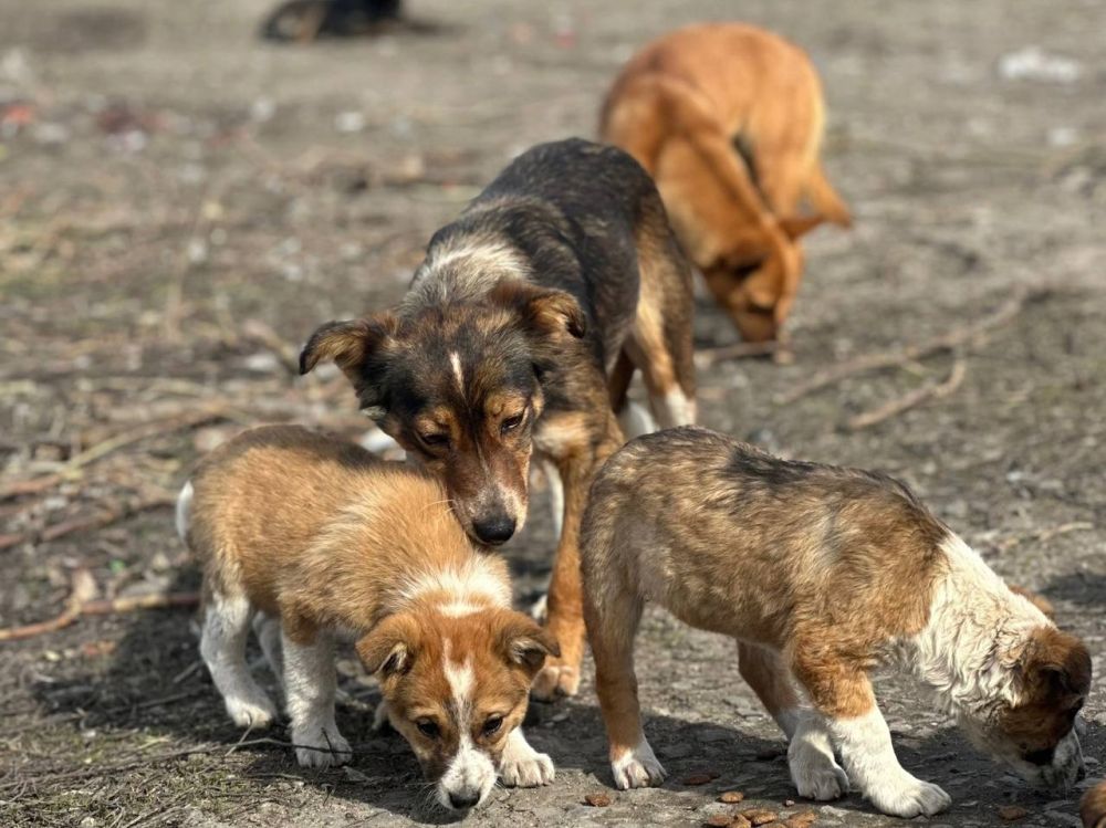 � ��������� ���������� ���������� ���������� ����� � ����� �� ���������