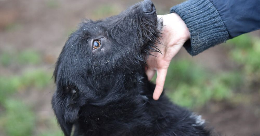 ������ ���� �� ��� ���� �������� ������ � ����������