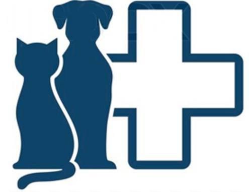 ���������� ����������� ����� ����������� :