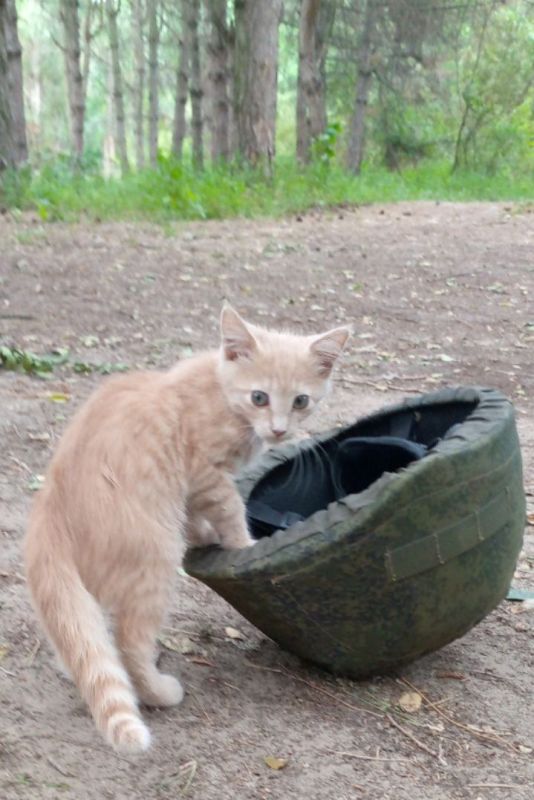 ������ ��� � �����.. �� ���������� �����: