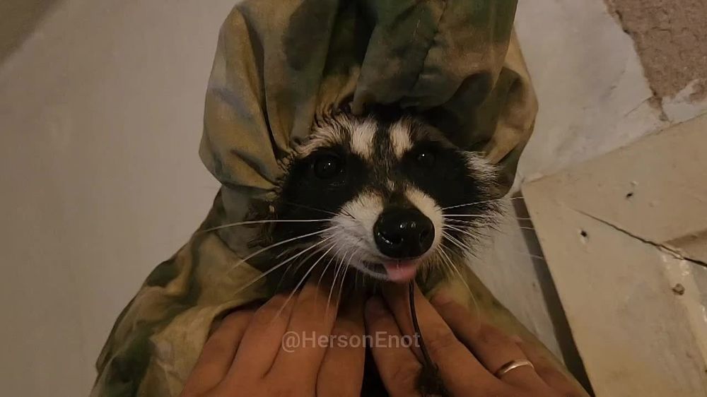 ���� �� �������: ������� ���� � �������� ��� ���� ����� �������!