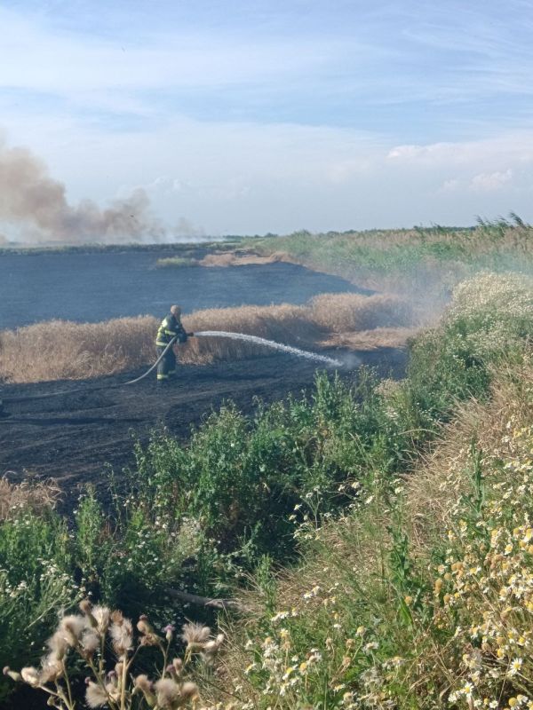 ��������. � ����� �� ������� ������������� �����������, ���������� ��� ������ �� ���������� ������� ���������� ������ � ��������� ������