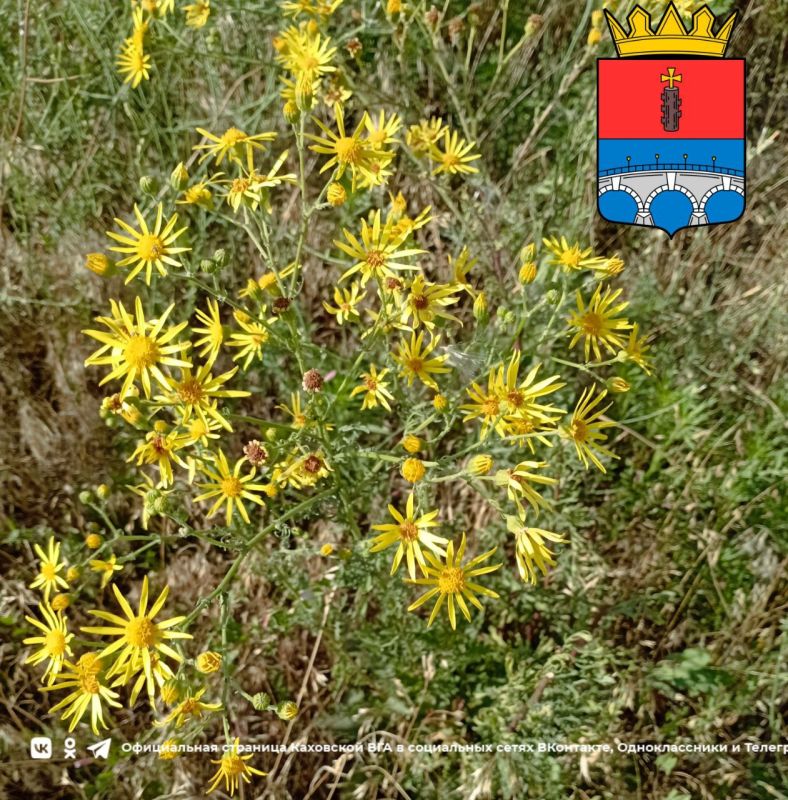 ������ ����, �������!. @VGA_Kakhovka