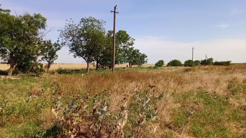 � ������������ ������ ���������� ������� ����������� ���������� 34 ���������� �� ����