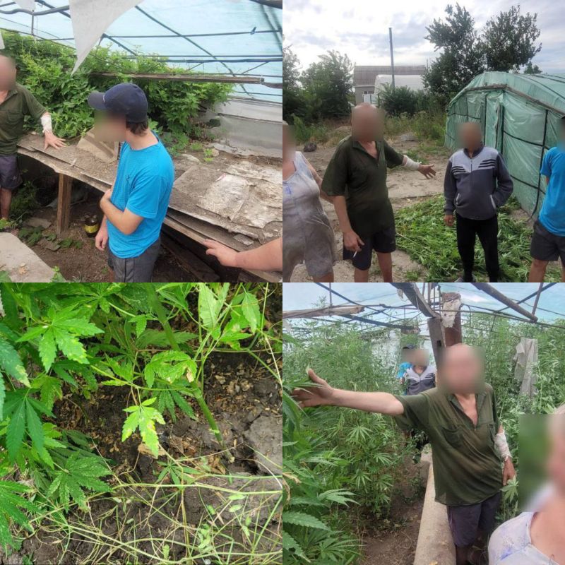 � ������ �������� ��������������� ������ 55 ������ �������