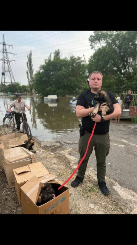 ������ �������� ��������������� ������� �������� ������ �� ��������� ���, ���������� �� ����������� ������