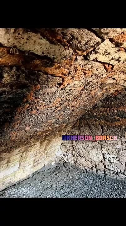 ������� ����. ������ ������ ������������ ��������� ���� ��������� ����� �� ���������� �������������. ������ ��� ���� �������