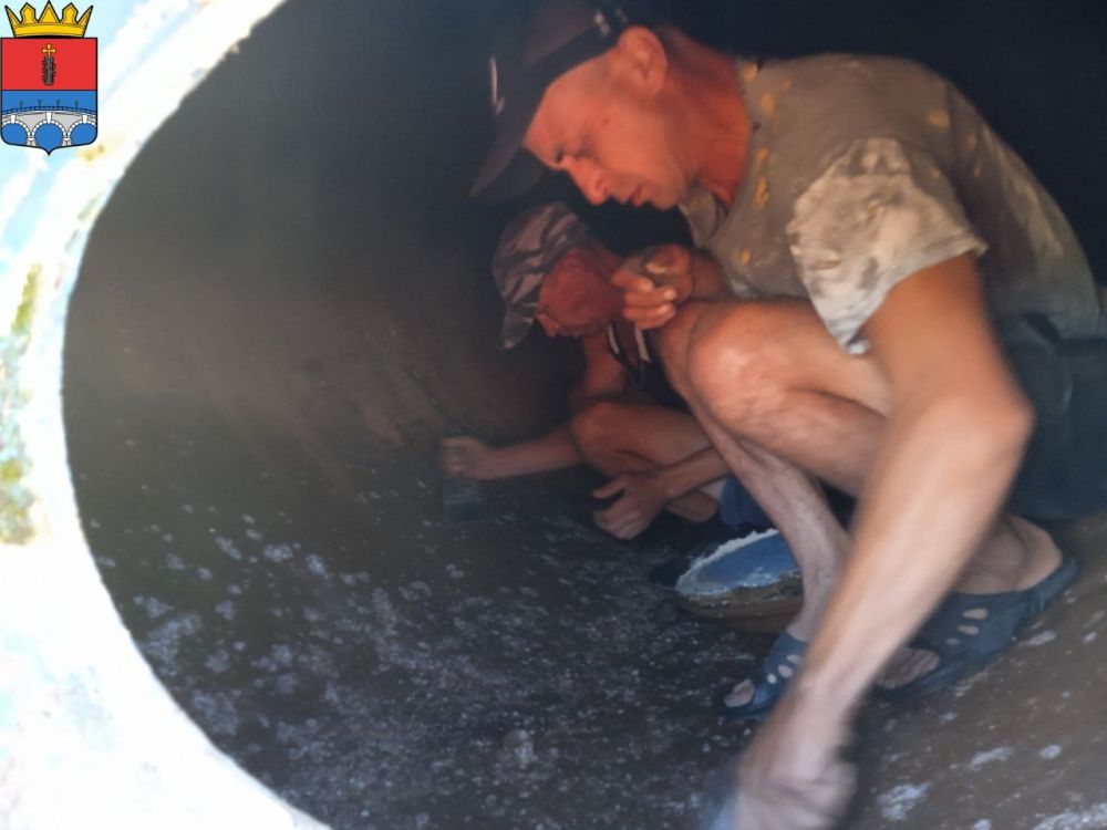 ������� � ����� ��������. ���������� ���������� ������� ���������� ���������� ������������ �� ��������� � ����������� ��� ������ � ������� ����������� ������������ ����� �������� ����