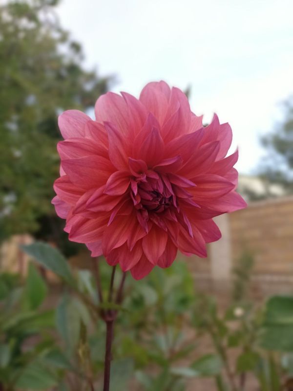 ������ ����, �����������!. ����� ����� ���� ���������� � ��������� ����������, �����, ������� � �������! ������ ������...