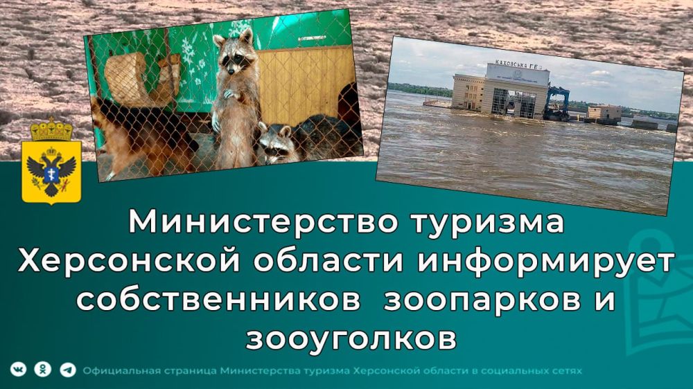 ������ ��������: ��� ��� �� ������� �����