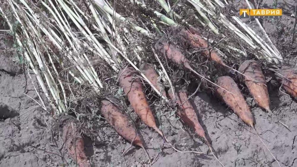 ������� ���������� ������� ���������� ���� ������