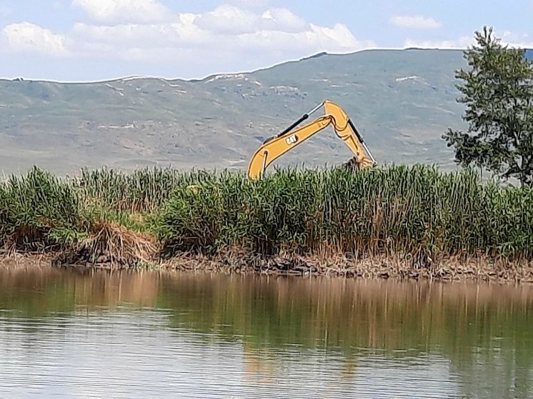 �� ����������� ��������� ������ �� ������������ �������� ����������� �������������