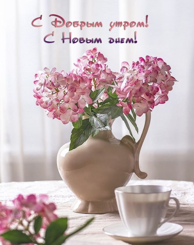 ������ ����. ������� � ������� �� ����� ����� ������, ������� ����� ��������� ����� � ����, ������ ��������� �����. ��� �������. ����������� �� +15 ����� �� +27 ����