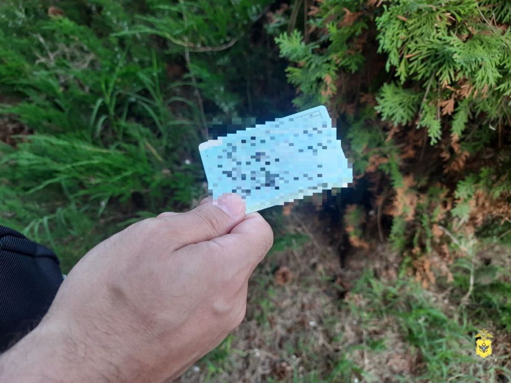 ��������������� ���������� ������� ���������� �������� ������ �������� ������������ ���������� � ������������ � ����������� ������������ �������