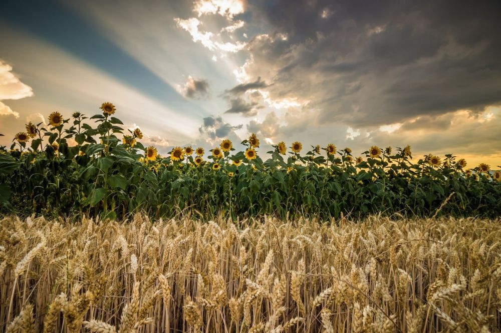 ������������� ��������� �������������� ���������� ������� � ����� ��������� ����������� �������� �������� ���������� ������������ ��������������� ��������� ���������� ���������� �������