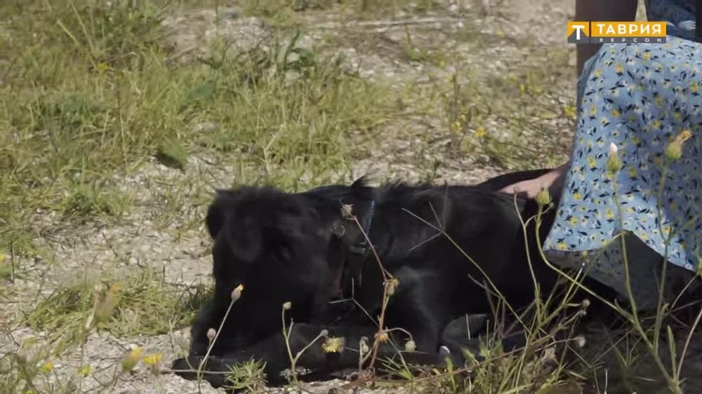 � ���������� ������������ ������� �������� ���������� �������� ��������