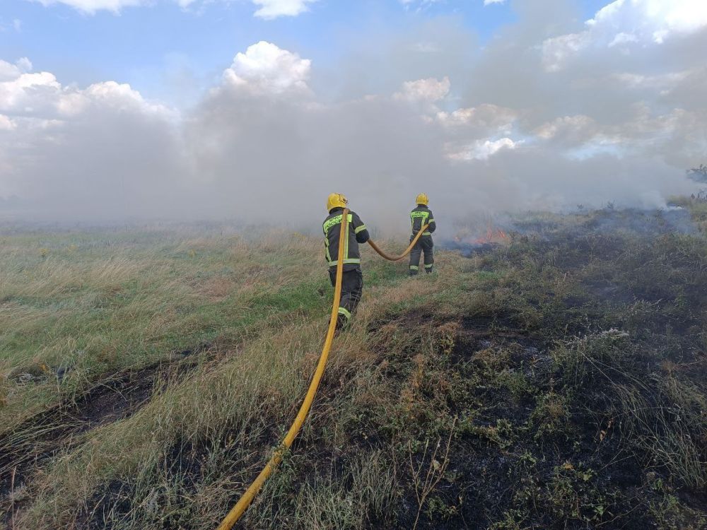 �� �������� �����, 11 ���� 2023 ����, � ���������� ������� ������������� 14 �������, ��������� 1 �������