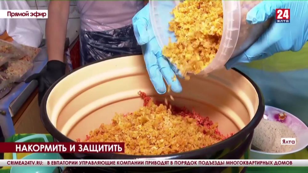 ���� ������������ ������, ����������� �� ���������� � ����������� ������������