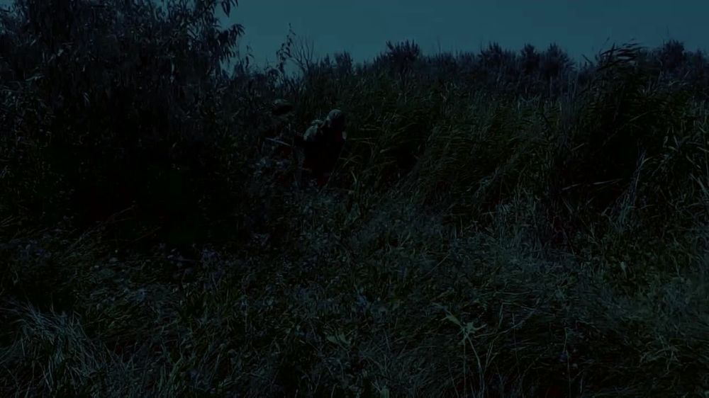 ���� �������� ��� ���� ����� � ���� ��������������� ����������� ������ � ���������� ������� � ���� ���������������� �������� � ������ ������